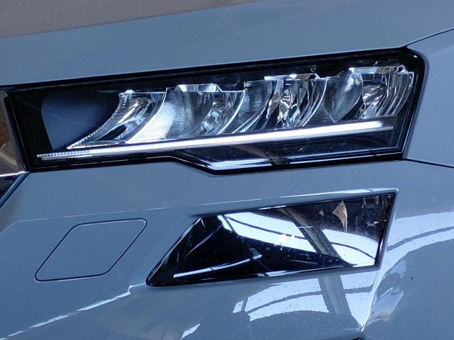 Skoda Karoq 1,5 TSI DSG Selection AHK Kamera LED PDC Winterpaket 