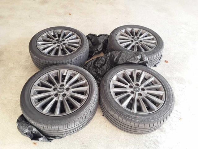 Ford Focus ST-Line /1. Hand/1 Jahr Garantie/T&Uuml;V NEU 