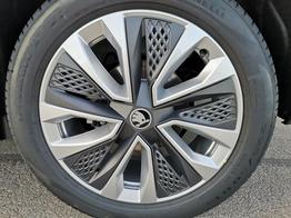 Skoda Karoq Selection 2.0 TDI DSG 4x4 GV5 AHK 18 Ladeb 