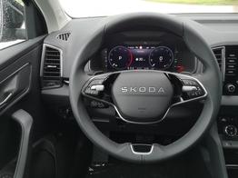 Skoda Karoq Selection 2.0 TDI DSG GV5 AHK 17 Ladeb 