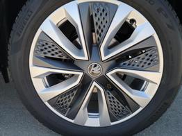 Skoda Karoq Selection 2.0 TDI DSG 4x4 GV5 AHK 18 Ladeb 