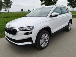 Skoda Karoq Selection 2.0 TDI DSG GV5 AHK 17 
