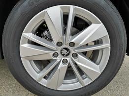 Skoda Karoq Selection 2.0 TDI DSG GV5 AHK 17 Ladeb 