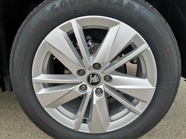 Skoda Karoq Selection 2.0 TDI DSG GV5 AHK 17 
