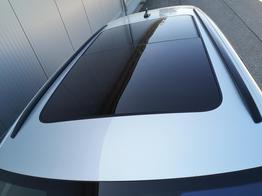 Skoda Octavia Combi 2.0 TSI 195 kW RS Kombi 2.0TSI Pano Matrix Area AHK Sound GV5 