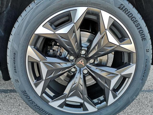 Cupra Terramar 2.0 TSI 195 kW 4Drive VZ 2.0TSI AHK ACC el. Hk GV5/100TKM 