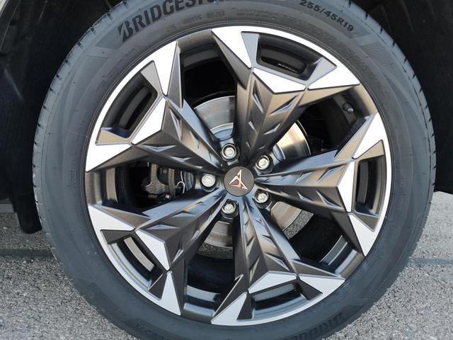 Cupra Terramar 2.0 TSI 195 kW 4Drive VZ 2.0TSI AHK ACC el. Hk GV5/100TKM 