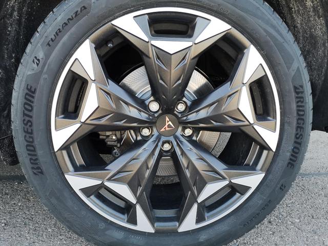 Cupra Terramar 2.0 TSI 195 kW 4Drive VZ 2.0TSI ABT AHK ACC el. Hk Pano 
