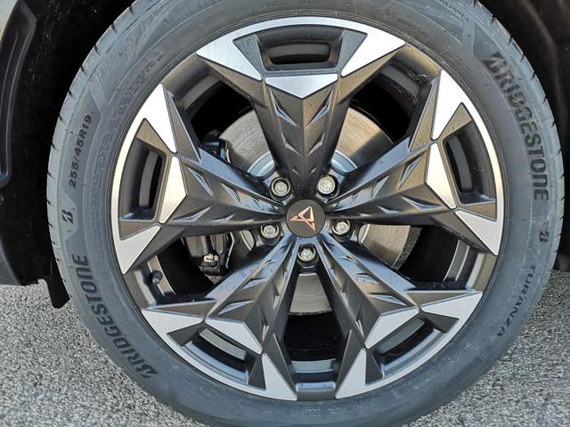 Cupra Terramar 2.0 TSI 195 kW 4Drive VZ 2.0TSI ABT AHK ACC el. Hk Pano 