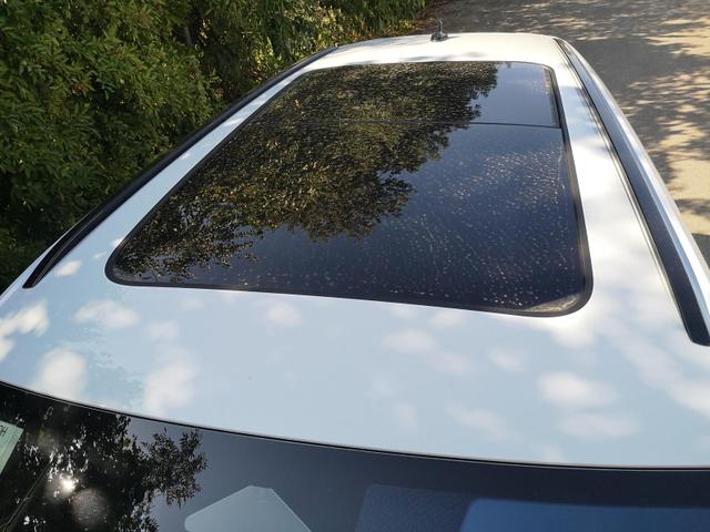 Skoda Kodiaq 2.0 TSI 195 kW 4x4 RS DSG Standh. Leder 360 AHK 7 Sitzer Pano Head GV5 