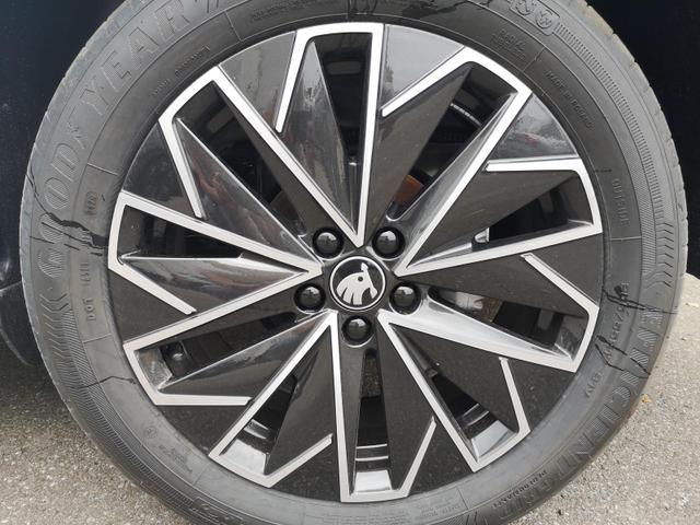 Skoda Kamiq Selection 1.0 TSI DSG 17 Zoll Sunset Kamera PDC v+h 