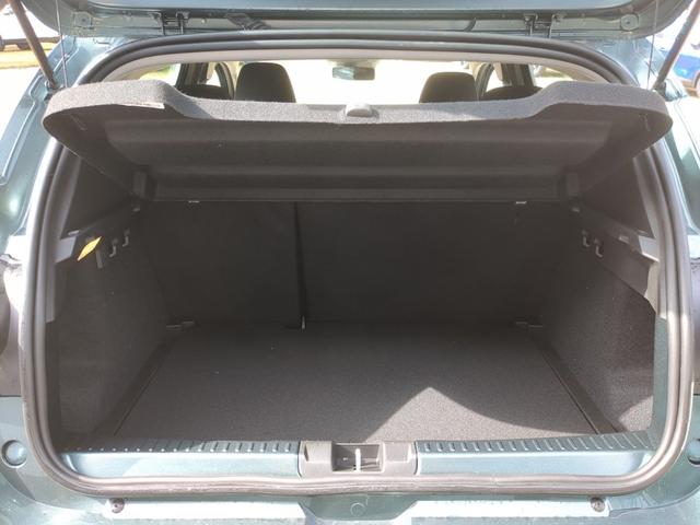Lagerfahrzeug Dacia Sandero Stepway - Extreme Winterpaket Navi RFK TCe 110