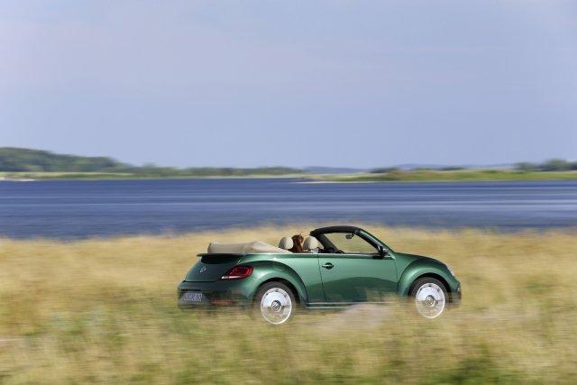 Krabbeltier mit Widerstandskraft - Gebrauchtwagen-Check des VW Beetle - NEWS