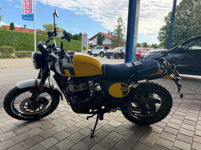 Royal Enfield Bear 650 Wild Honey 