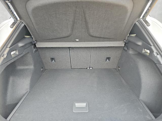 Cupra Terramar 1.5 eTSI 110 kW DSG HUD AHK Sennheiser 5J.Gar. 