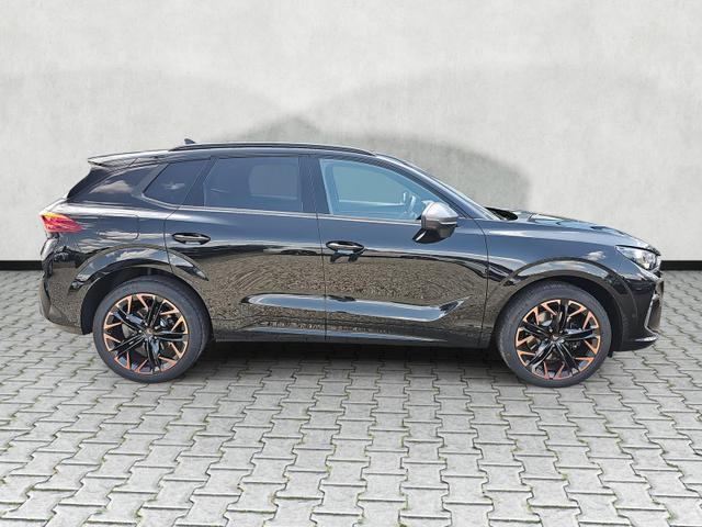 Cupra Terramar 2.0 TSI 195 kW 4Drive VZ DSG Matrix Pano Leder 