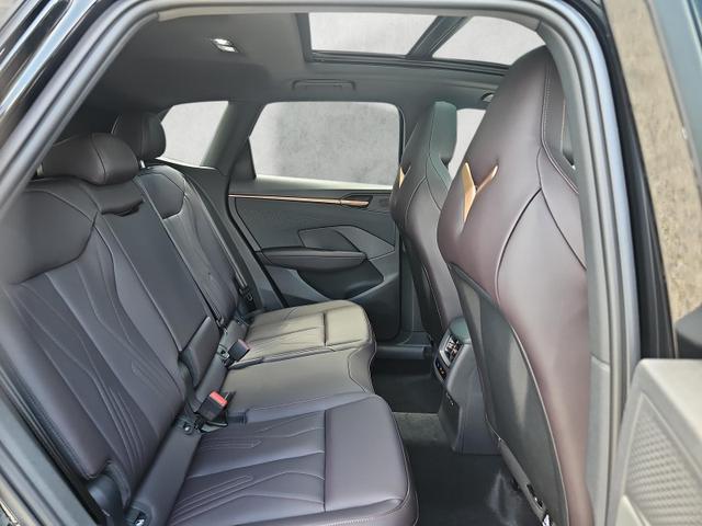 Cupra Terramar 2.0 TSI 195 kW 4Drive VZ DSG Matrix Pano Leder 
