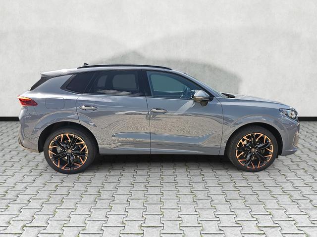 Cupra Terramar 2.0 TSI 195 kW 4Drive VZ DSG Matrix Pano Leder 