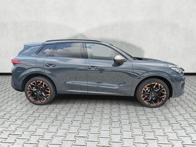 Cupra Terramar 2.0 TSI 195 kW 4Drive VZ DSG Matrix Pano Leder 