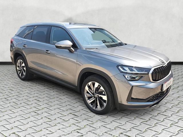 Skoda Kodiaq - 2.0 TDI 142kW 4x4 Selection DSG 7-Si AHK Kessy