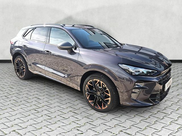 Cupra Terramar - 2.0 TSI 195 kW 4Drive VZ DSG Matrix Pano Leder