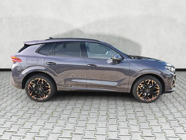 Cupra Terramar 2.0 TSI 195 kW 4Drive VZ DSG Matrix Pano Leder 