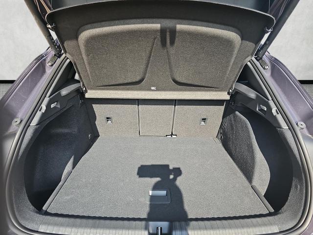 Cupra Terramar 2.0 TSI 195 kW 4Drive VZ DSG Matrix Pano Leder 