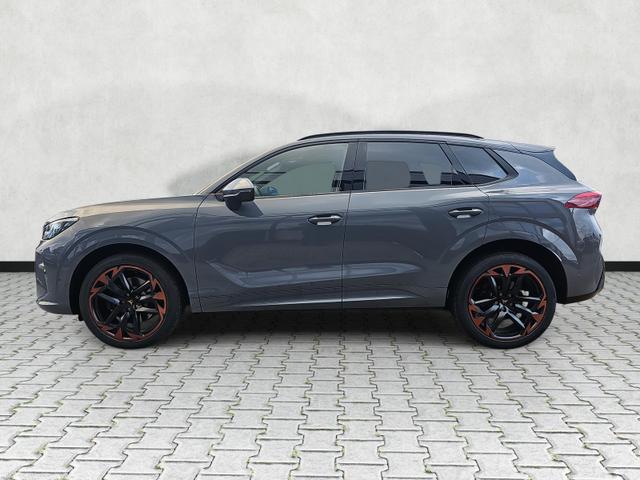 Cupra Terramar 2.0 TSI 195 kW 4Drive VZ DSG Matrix Pano Vortex 