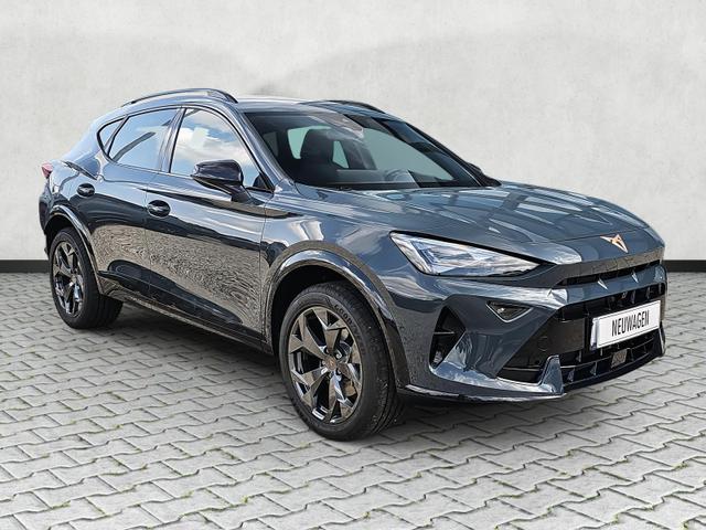 Cupra Formentor - 1.5 eTSI 110 kW DSG / Navi 360GradKamera