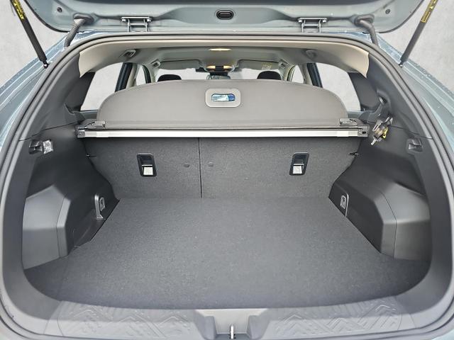 Subaru Crosstrek Trend 2.0ie Lineartronic X-Mode Kamera 