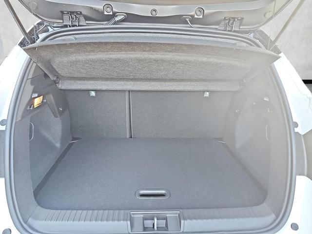 Renault Captur 140 Mild-Hybrid Techno Keyless Kamera 