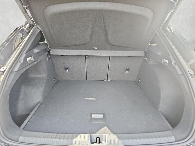 Cupra Terramar 2.0 TSI 195 kW 4Drive VZ DSG / DCC AHK schwe 