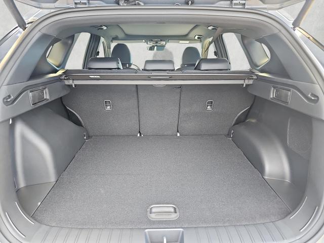 Hyundai TUCSON N-Line X 1.6 T-Gdi HEV Assist.-Paket Pano 