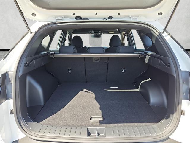 Hyundai TUCSON 1.6 T-Gdi HEV Black Line Kamera Keyless 