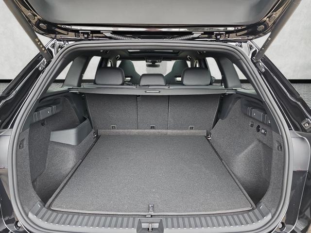 Skoda Kodiaq 2.0 TSI 195 kW 4x4 RS DSG AHKschw. Canton Pano 