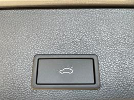Seat / Ateca / Grau /  /  / WLTP 2.0 TSI DSG 4Drive 140kW / 190PS
