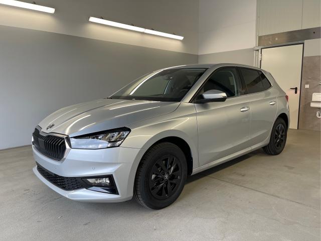 Skoda / Fabia / Silber / / / 115PS DSG Kamera+Kessy