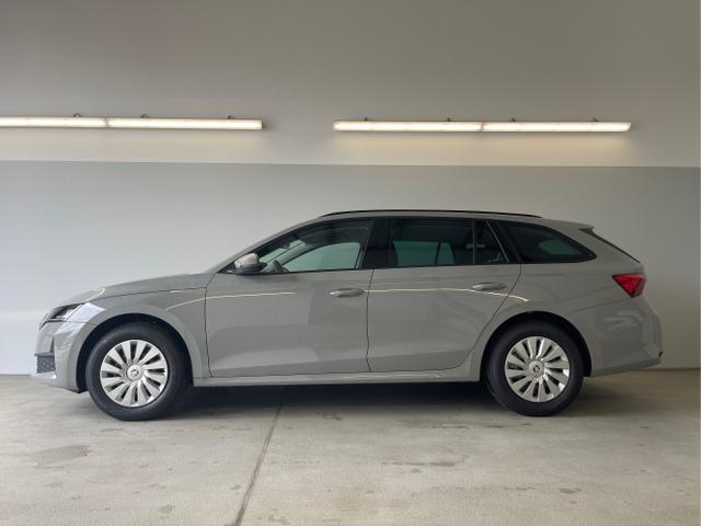 Skoda / Octavia Combi / Grau / / / DSG AHK+Sitzheizung+App Connect