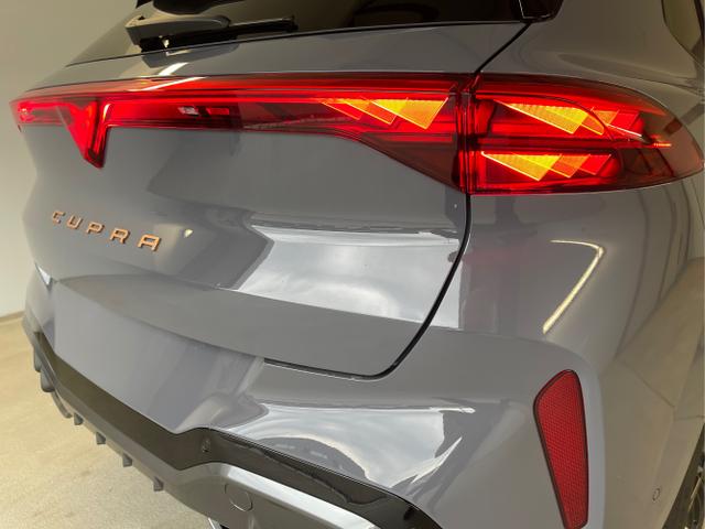 Cupra / Terramar / Grau / / / 4Drive Pano+AKEBONO+Matrix+AHK+Stdhz+20 Zoll