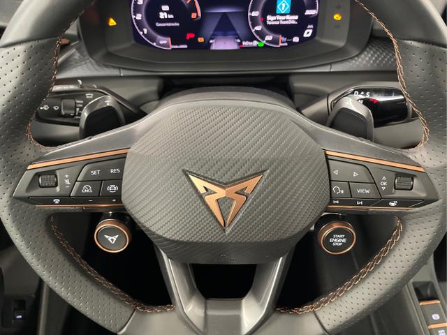 Cupra / Terramar / Grau / / / 4Drive Pano+AKEBONO+Matrix+AHK+Stdhz+20 Zoll