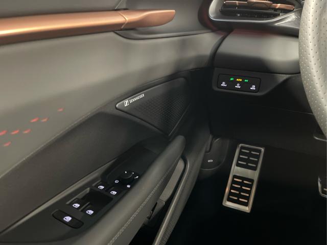 Cupra / Terramar / Grau / / / 4Drive Pano+AKEBONO+Matrix+AHK+Stdhz+20 Zoll