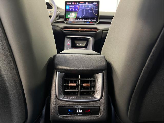 Cupra / Terramar / Grau / / / 4Drive Pano+AKEBONO+Matrix+AHK+Stdhz+20 Zoll