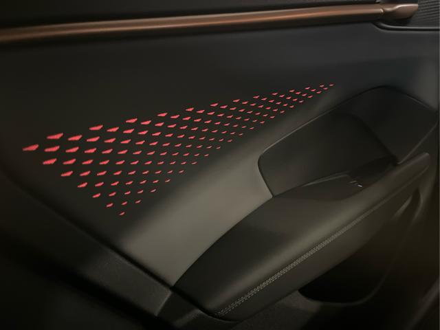 Cupra / Terramar / Grau / / / 4Drive Pano+AKEBONO+Matrix+AHK+Stdhz+20 Zoll