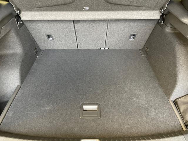 Cupra / Terramar / Grau / / / 4Drive Pano+AKEBONO+Matrix+AHK+Stdhz+20 Zoll