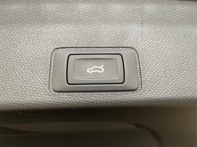Cupra / Terramar / Grau / / / 4Drive Pano+AKEBONO+Matrix+AHK+Stdhz+20 Zoll