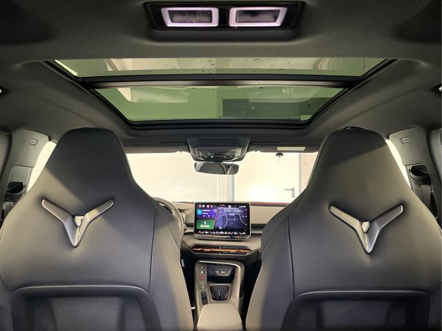 Cupra / Terramar / Grau / / / 4Drive Pano+AKEBONO+Matrix+AHK+Stdhz+20 Zoll
