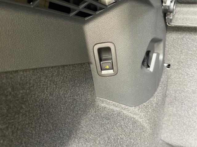 Volkswagen / Golf / Schwarz / / / eHybrid IQ.Light+Navi+Travel Assist