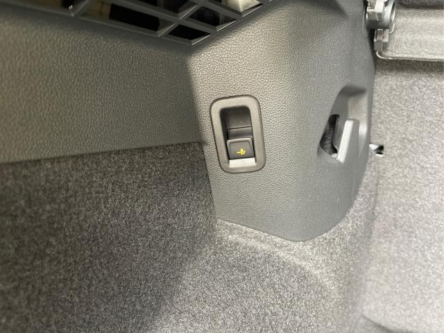 Volkswagen / Golf / Schwarz / / / eHybrid IQ.Light+Navi+Travel Assist
