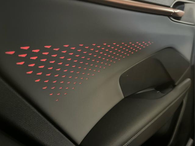Cupra / Terramar / Schwarz / / / 4Drive Pano+AKEBONO+Matrix+AHK+Stdhz+20 Zoll