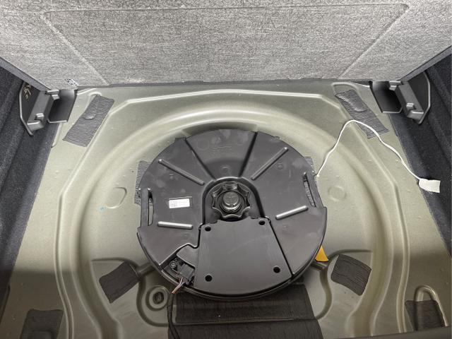 Cupra / Terramar / Schwarz / / / 4Drive Pano+AKEBONO+Matrix+AHK+Stdhz+20 Zoll
